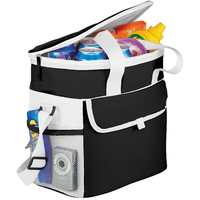 Game Day Sports Cooler Bag
