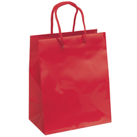 Gloss Laminate Paper Bag
