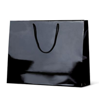 Gloss Laminate Paper Bag