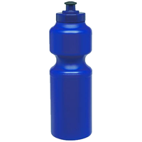Large Sports Bottle
