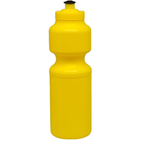 Large Sports Bottle
