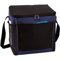 The Perfect Cooler Bag
